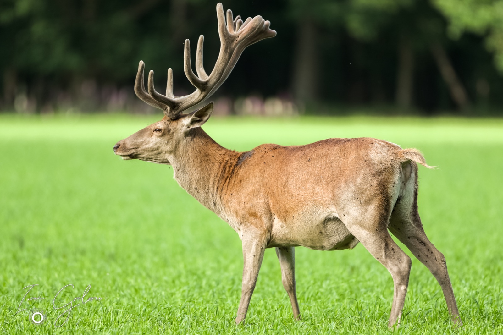 12 juni 2022 190317 1DX47349